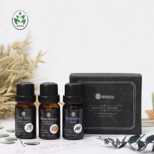 China Health Care 10ml Cinnamon Aromatherapy Oil For Skin Care wholesale