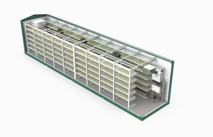 40 Feet Container Farming Plant Factory For Hydroponic Growing Lettuce Leaf Vegetable Growing