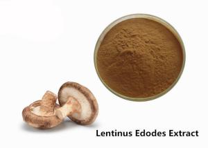 China Anti Fatigue Food Grade Shiitake Mushroom Extract Powder wholesale