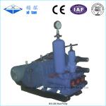 Mud Pump For Drilling Rigs BW - 250