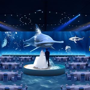 China Indoor 3d Immersive Restaurant Interactive Holographic Projection wholesale