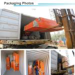 Building Construction Aluminum alloy 380V/50Hz 0.8Ton ZLP800 Suspended Working