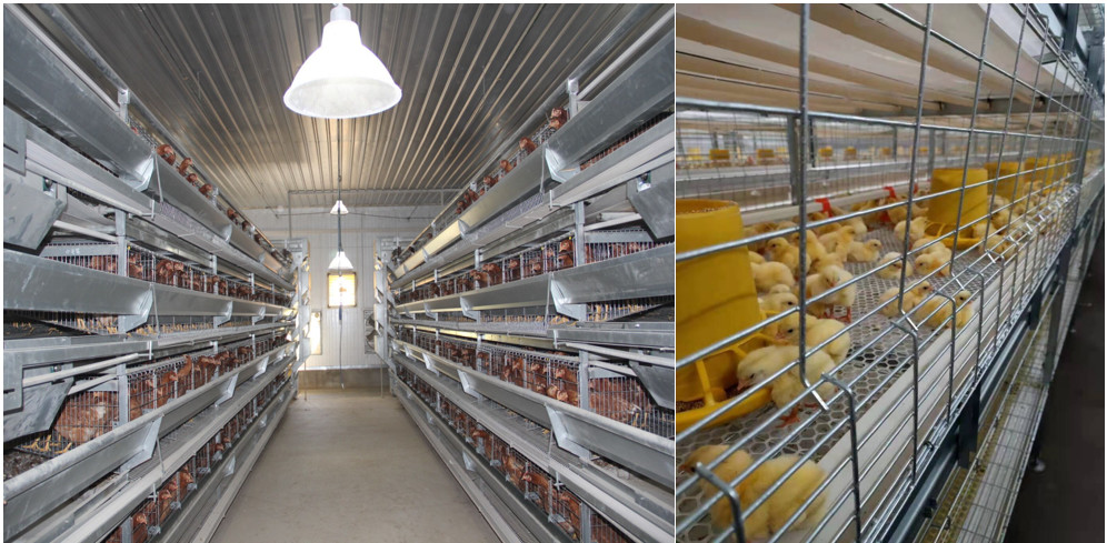 Anti Rust Prefabricated Metal Warehouse