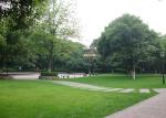 Durable Landscaping Natural Looking Artificial Grass , Landscaping Artificial