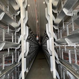 China Automatic Production Egg Chicken Poultry Cage Professional Economical wholesale
