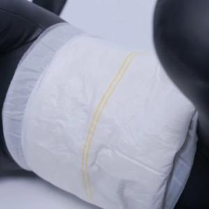 China Non Woven Fabric Super Absorbent Dog Diapers Leak Proof Disposable Pet Pee Pad wholesale