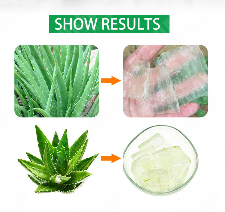 Cactus Skin Removing 1000kg/H-1500kg/h Aloe Vera Peeling Machine