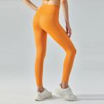 Sweat Wicking Naked Yoga Pants Double Sided Brushed Hip Lifting Fitness Leggings