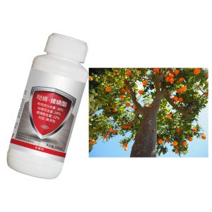 China 24% Spirodiclofen 12% Pyridaben SC Biological Pesticide Pepper Plant Insecticide wholesale