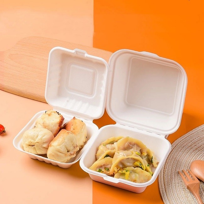 White Sustainable Disposable Lunch Box Take Away Boxes For Food Clamshells 600ml