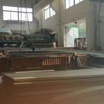 Food Grade Cold Rolled 316 55mm Stainless Steel Sheet Metal