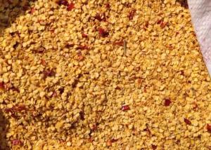 China Granule Dried Chilli Seeds 10PPB 15000SHU Spicy Pepper Seeds HACCP wholesale
