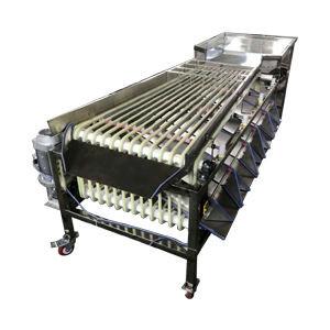 China Wear Resistance Strawberry Processing Machine Vegetable Fruits Track Sorter Separator wholesale