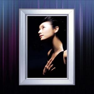 China ROHS Clip Outdoor Led Light Box Signage Clear White wholesale