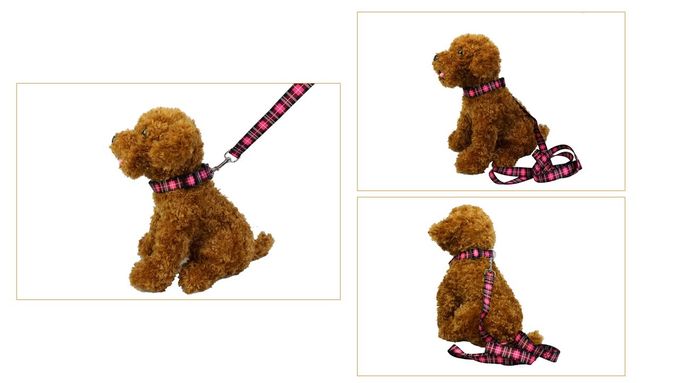 Metal Buckle Seatbelt Pet Collars Leashes 2.5CM Width OEM For Dog