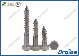 China A2 / 304 Stainless Steel DIN 571 Hex Wood Screw, Lag Screw wholesale