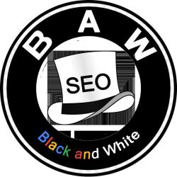 Guangzhou Black and White Network Technology Co., Ltd.