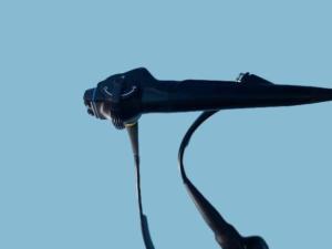 China BF-P160 Bronchoscope 120 Deg Field Of View Flexible Scope For Comprehensive Examination wholesale