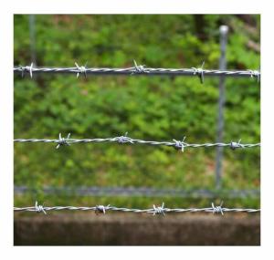 China KN Hot Selling Fencing Barbed Wire Electro Galvanized Barbed Wire wholesale