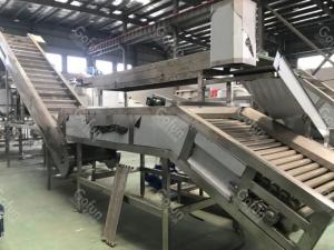 China Fully Automatic Concentrated Mango Juice Production Line Water Saving on sale