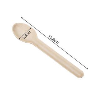 China Biodegradable Sugarcane Bagasse Cutlery Disposable Spoon 6.2 inch wholesale
