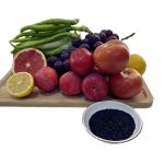Water Soluble Humic Acid 80% Derived from Leonardite with 50% Fulvic Acid 12%