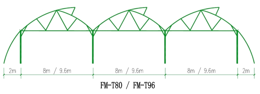 Plastic Film Greenhouses 5.jpg