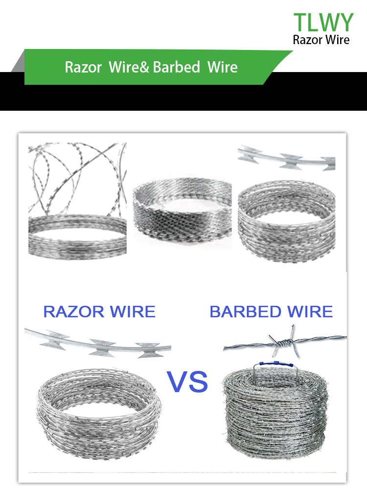 Anti Alkali Military Security Barbed Wire Fencing BWG 12x12