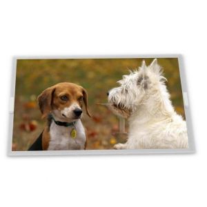 China M238DAN01.1QN Quality Suppliers 23.8 Inch Lcd Module Display wholesale