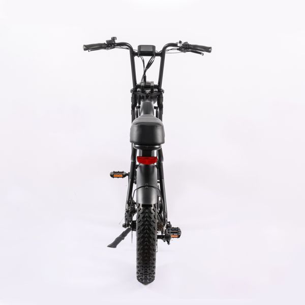 48V1000W Motor Full Suspension Shock Electric Retro Bike with Customised Beach Bikes Cruisers