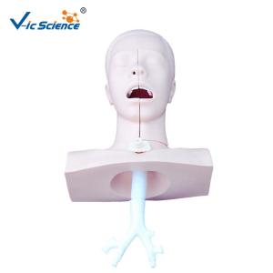 China Suction Medical Simulation Mannequins For Nursing Skills Training wholesale