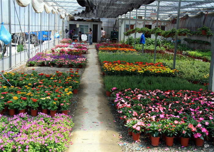 Galvanized Frame Finishing Garden Glass Greenhouse 6mm Polycarbonate Covering