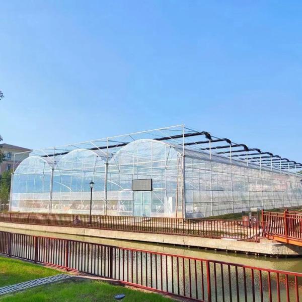 Modular Poly Tunnel Greenhouse Customizable Layouts for Vegetables Flowers