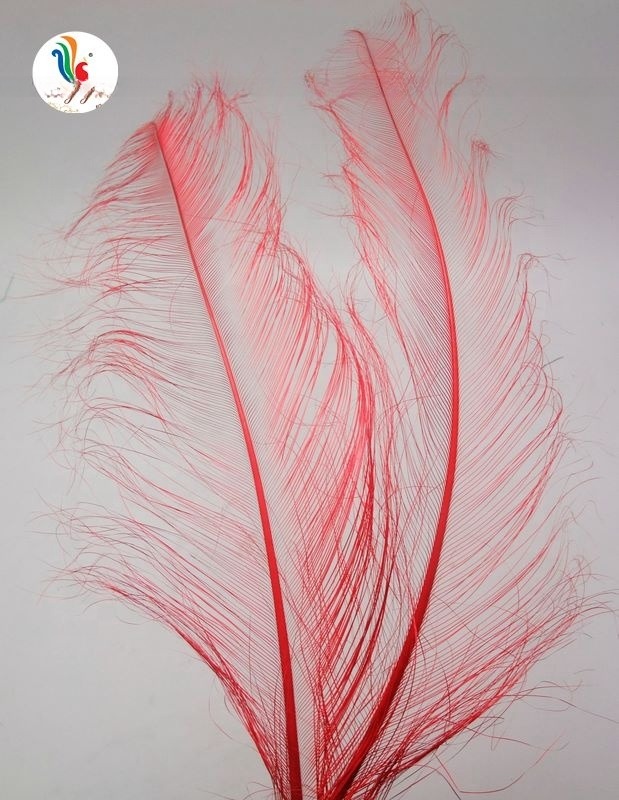 FEDEX Shipping Feathers Millinery Supplies Burnt Ostrich Feathers 50-55cm Hat Decor