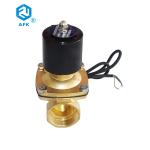 Brass IP68 Internal Thread Water Solenoid Valve 2 Inch AC220V