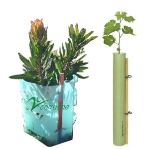 China Eco PP Corrugated Plastic Tree Guard Green Corflute Guards Waterproof wholesale