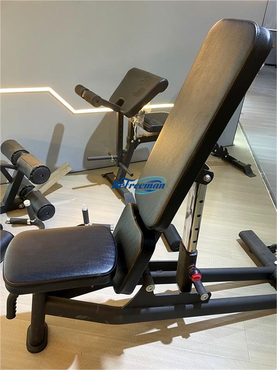 [Freeman] Multifunction Gym Workout Bench Adjustable Weightlifting Bodybuilding Bench for Gym [Support Bulk Customization]