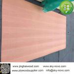 sapele plywood