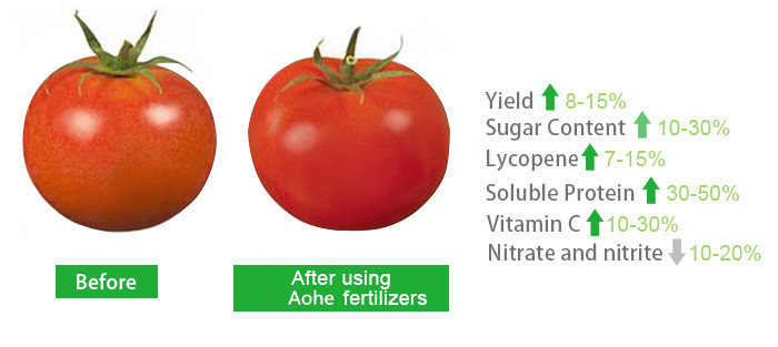 40% Amino Plus Foliar Fertilizer Plant Extract Stimulate Root Growth