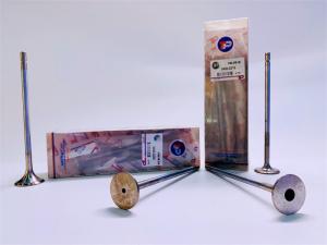 China 04303319 04303320 VOLVO Engine Valve Anti Corrosion For VOLVO D12D wholesale