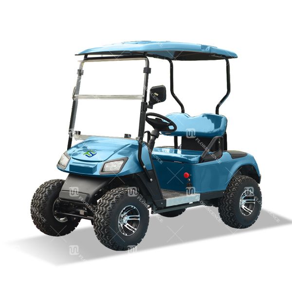 CE Certificated AEV Ranger Golf Cart 25Mph-40Mph Customizable