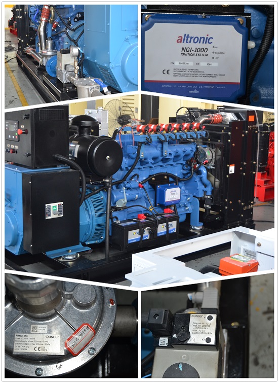 10kw 2000kw Three Phase Portable Natural Gas Generator Set 480V