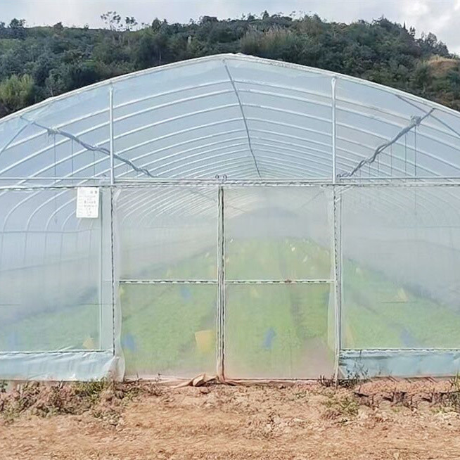 Commercial Climate Control Cooling System Single Tunnel Greenhouse For Agriculture Farming