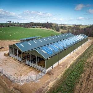China Painted Chicken Steel Structure Poultry House ASTM DIN GB JIS Standard wholesale