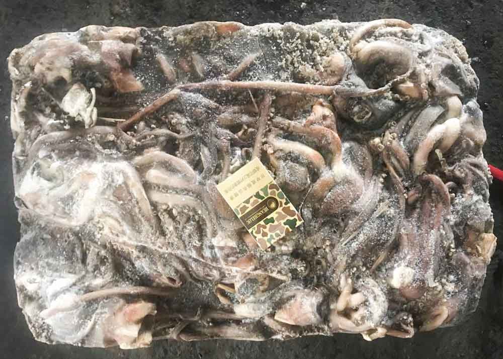 frozen giant squid tentacles open neck chinese ocean vessels BQF dosidicus gigas frozen squid rings