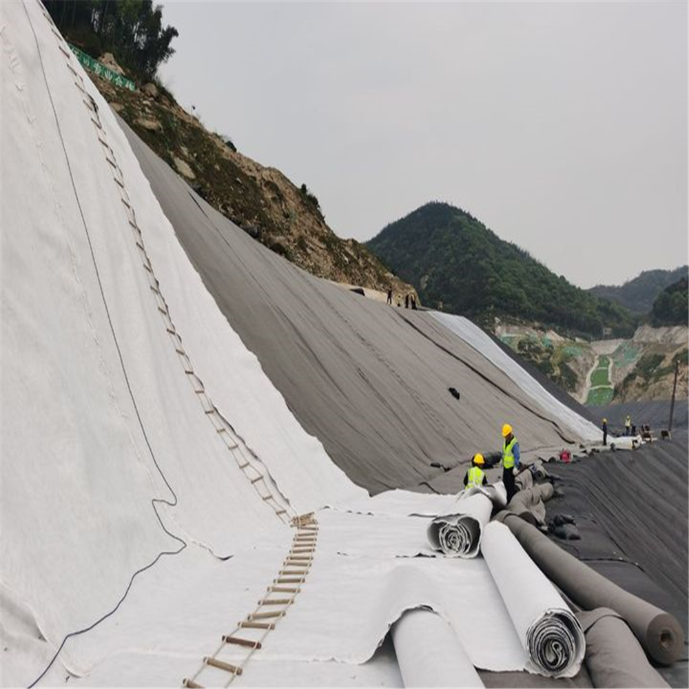 PP PET Geotextile for Landfill Project Non Woven Geo Fabric Needle Punched Sample Free