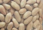 Blanched Peanut Roasted Seeds And Nuts Light Yellow Colour Dried Style