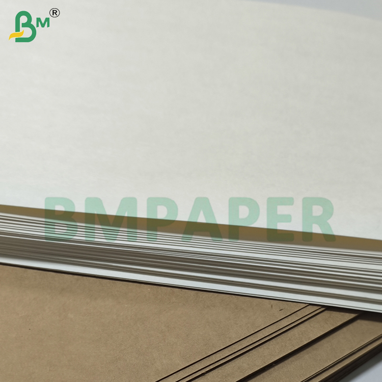 Excellent Stiffness Uncoated Cupstock Base Paper 150 - 250gsm
