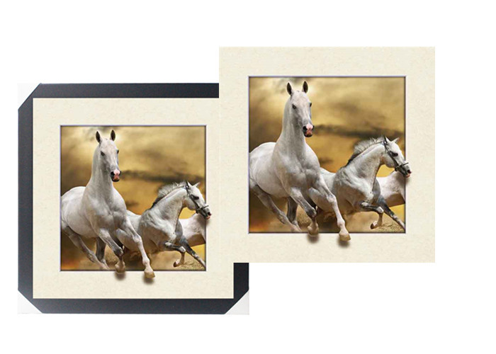 SGS 3d Lenticular Picture With PS Frame 0.6mm Pet Thickness 5d Photos