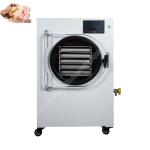 lyophilizer freeze dryer/ industrial freeze dryer/ food freeze dryer